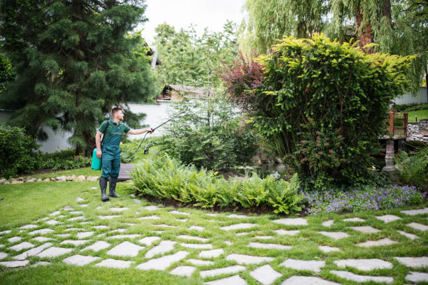 Wasp Removal Services in Lake Erie Beach, NY