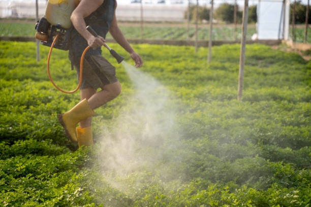 Best Pest Removal Services  in Lake Erie Beach, NY