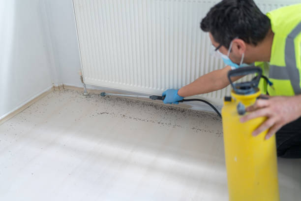 Best Affordable Pest Control Services  in Lake Erie Beach, NY